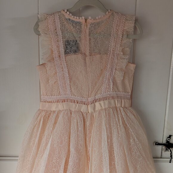NWT - Trish Scully Clarissa Dress in Peachy Pink - Size 8 - Perfect for Princess - Picture 3 of 7